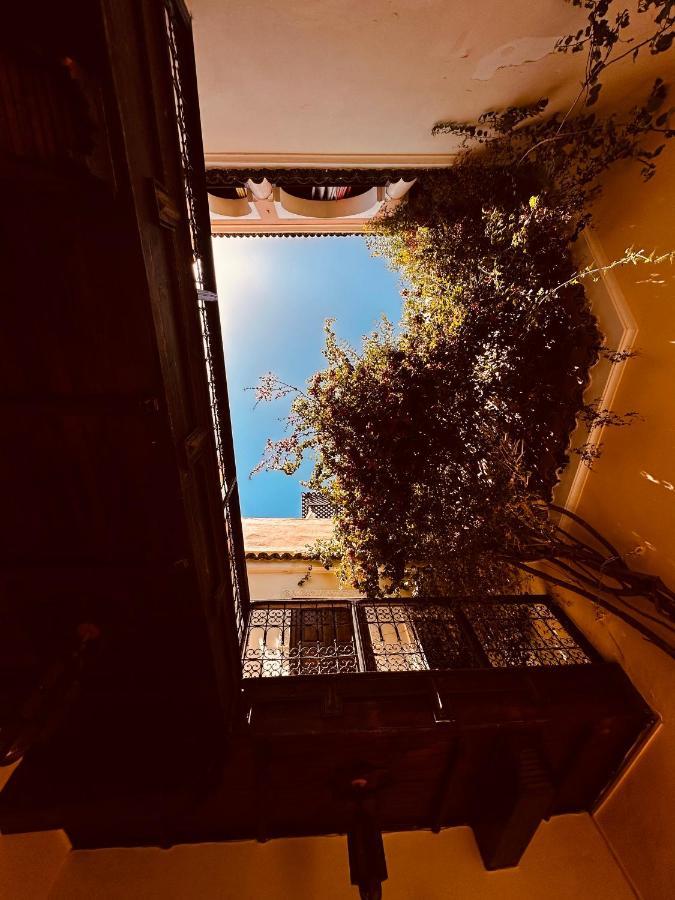 Riad Msholidays Bassin Privatise Marrakech 마라케시 외부 사진