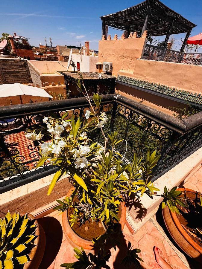 Riad Msholidays Bassin Privatise Marrakech 마라케시 외부 사진