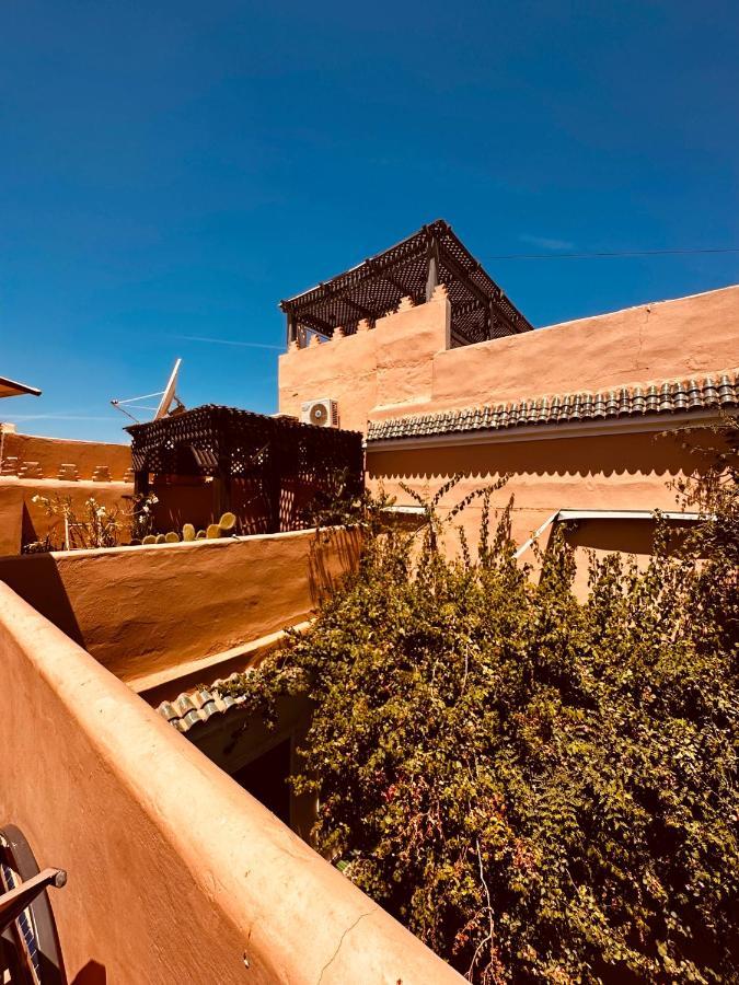 Riad Msholidays Bassin Privatise Marrakech 마라케시 외부 사진